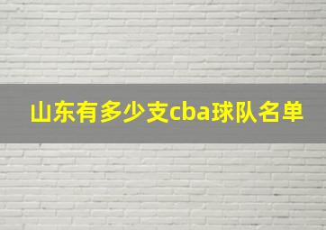 山东有多少支cba球队名单