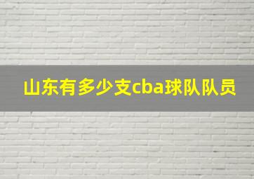 山东有多少支cba球队队员