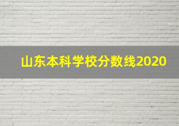 山东本科学校分数线2020