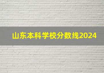 山东本科学校分数线2024