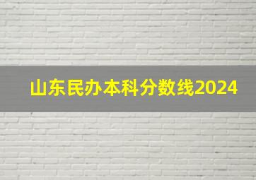 山东民办本科分数线2024