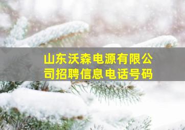 山东沃森电源有限公司招聘信息电话号码