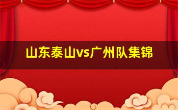 山东泰山vs广州队集锦