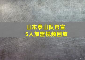 山东泰山队官宣5人加盟视频回放