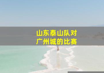 山东泰山队对广州城的比赛