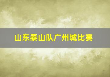 山东泰山队广州城比赛