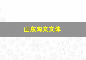 山东海文文体