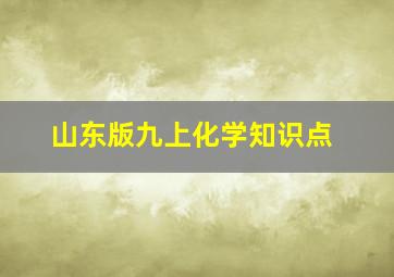 山东版九上化学知识点