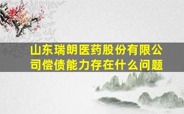 山东瑞朗医药股份有限公司偿债能力存在什么问题