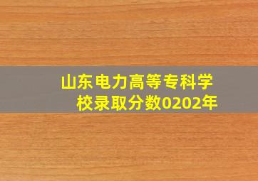 山东电力高等专科学校录取分数0202年