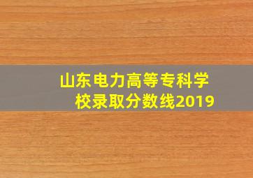 山东电力高等专科学校录取分数线2019