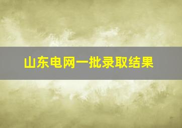 山东电网一批录取结果