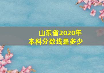 山东省2020年本科分数线是多少