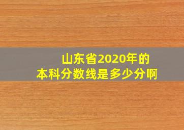 山东省2020年的本科分数线是多少分啊