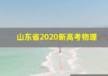 山东省2020新高考物理