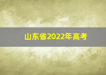 山东省2022年高考