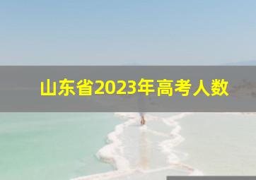 山东省2023年高考人数