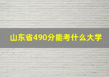 山东省490分能考什么大学