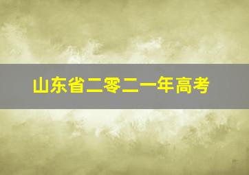 山东省二零二一年高考