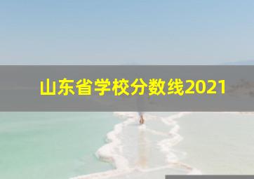 山东省学校分数线2021