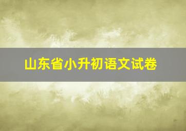 山东省小升初语文试卷