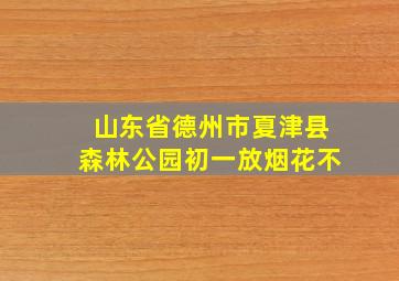 山东省德州市夏津县森林公园初一放烟花不