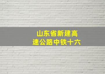 山东省新建高速公路中铁十六