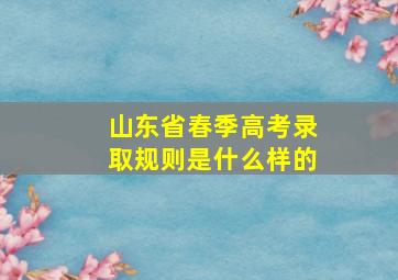 山东省春季高考录取规则是什么样的