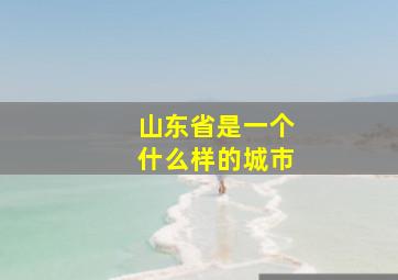 山东省是一个什么样的城市