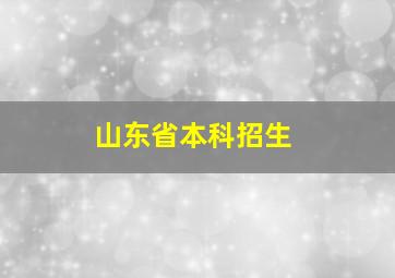 山东省本科招生