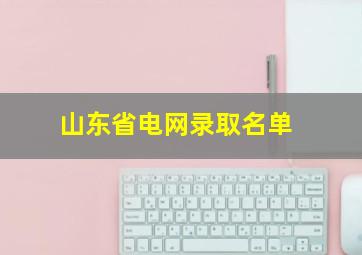 山东省电网录取名单