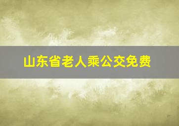 山东省老人乘公交免费