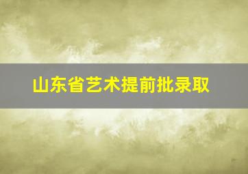 山东省艺术提前批录取