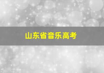 山东省音乐高考