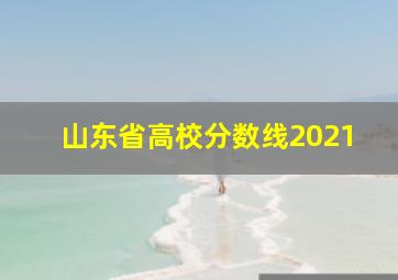 山东省高校分数线2021