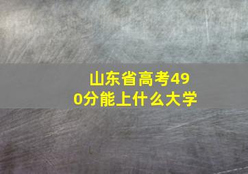 山东省高考490分能上什么大学