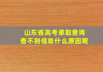 山东省高考录取查询查不到信息什么原因呢