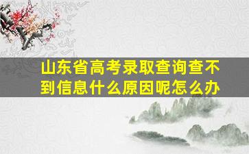 山东省高考录取查询查不到信息什么原因呢怎么办