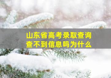 山东省高考录取查询查不到信息吗为什么