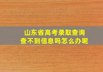 山东省高考录取查询查不到信息吗怎么办呢