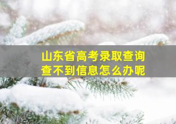 山东省高考录取查询查不到信息怎么办呢