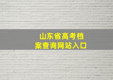 山东省高考档案查询网站入口