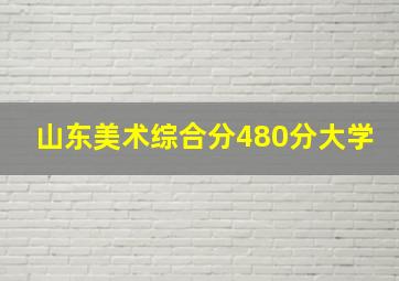 山东美术综合分480分大学