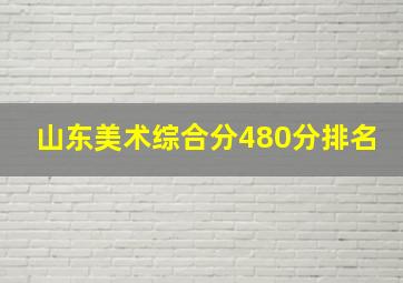 山东美术综合分480分排名