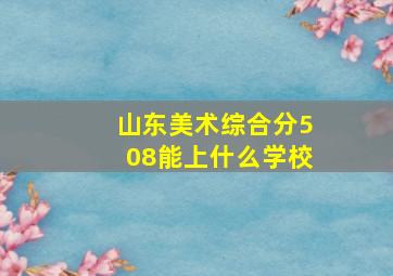 山东美术综合分508能上什么学校