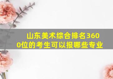 山东美术综合排名3600位的考生可以报哪些专业