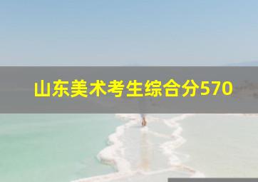 山东美术考生综合分570