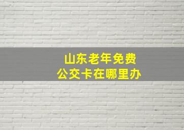 山东老年免费公交卡在哪里办