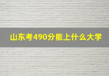 山东考490分能上什么大学