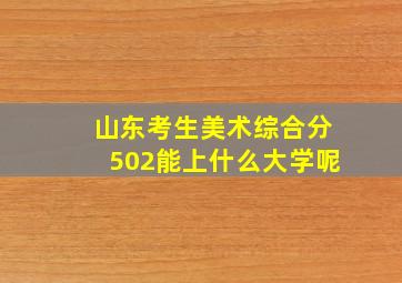 山东考生美术综合分502能上什么大学呢